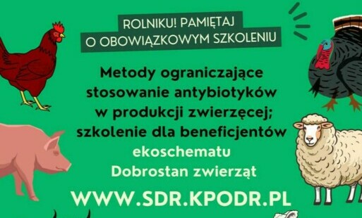 Zdjęcie do Bezpłatne szkolenie pn.: Metody ograniczające stosowanie antybiotyk&oacute;w w produkcji zwierzęcej &ndash; szkolenie dla beneficjent&oacute;w ekoschematu Dobrostan zwierząt