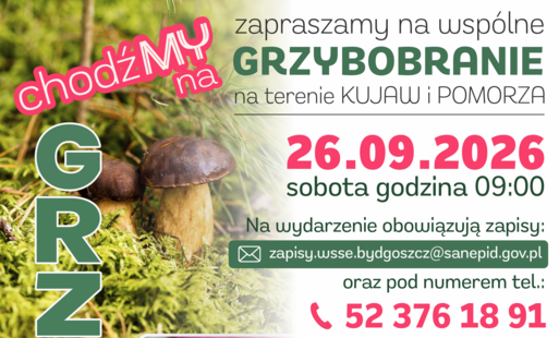 Zdjęcie do Akcja &bdquo;ChodźMY na grzyby&rdquo;